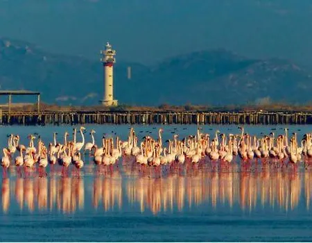 Mendoza Hébergement de vacances