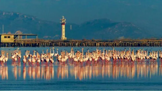 Mendoza بيت للعطل